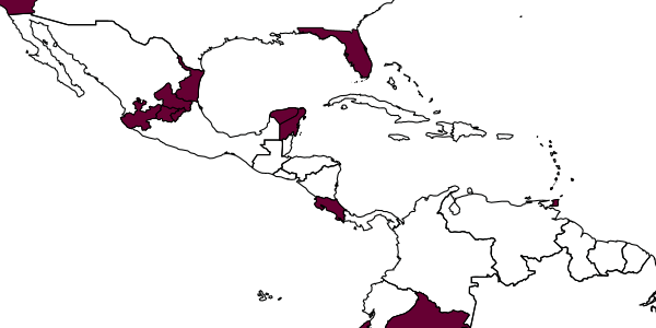 map of Encarsia noyesi     (Hayat, 1983)